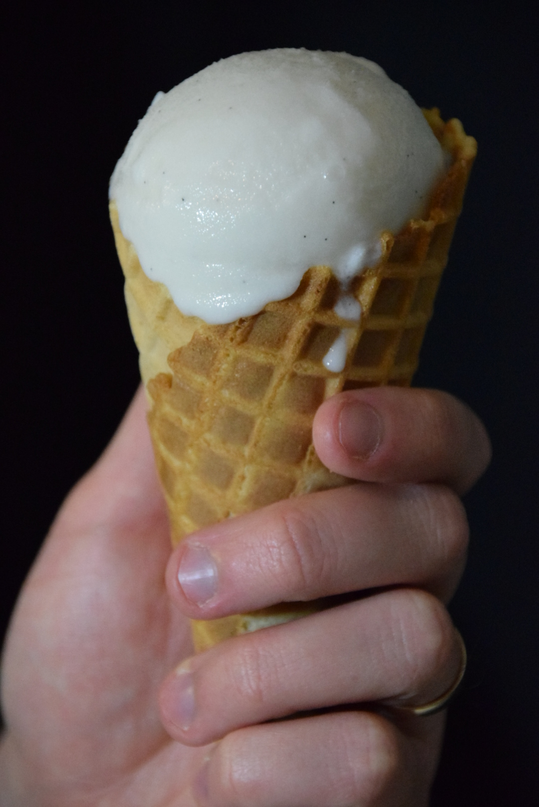 stardew valley dairy free coconut vanilla ice cream