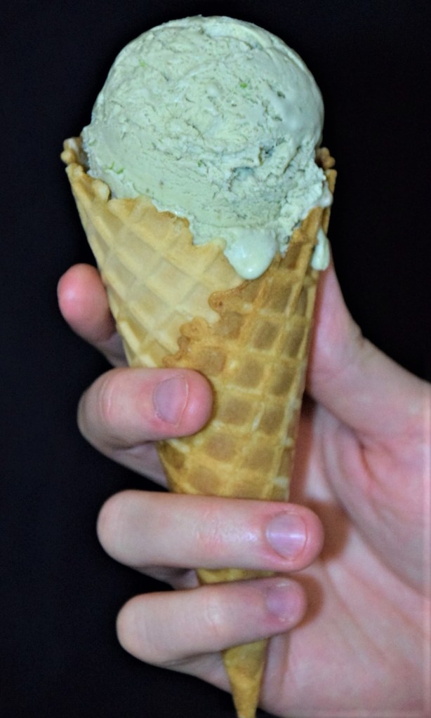 stardew valley no machine matcha lime ice cream