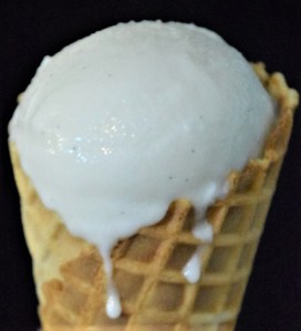 stardew valley dairy free coconut vanilla ice cream