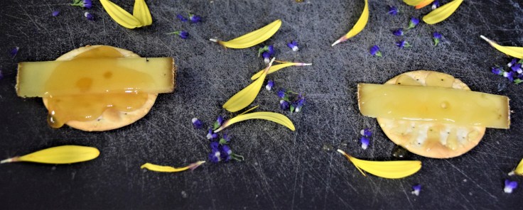 Slices of cheese and crackers covered in honey, surrounded by yellow and purple flower petals on a black background